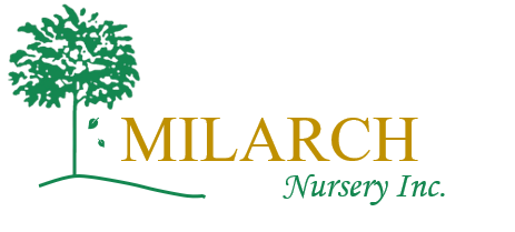 Welcome to Milarch Nursery!